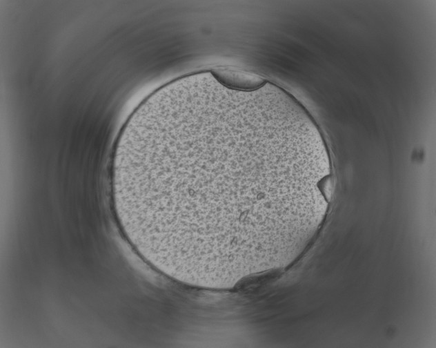 X0000116611056200912312114