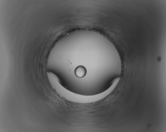 X0000116611057200912312113