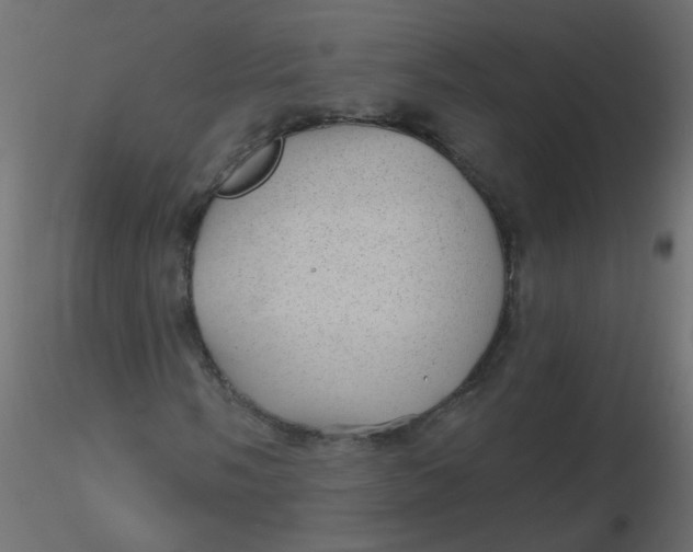 X0000116611058200912312113