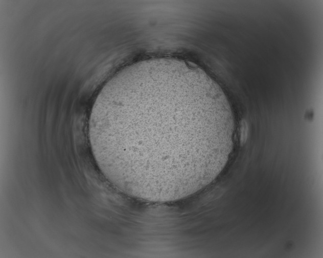 X0000116611059200912312113