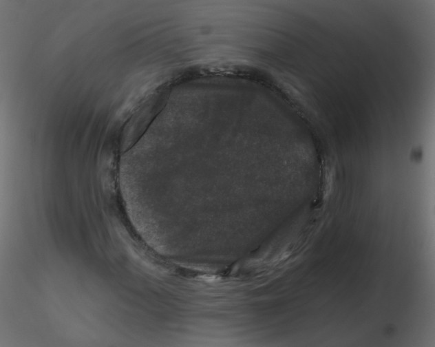 X0000116611060200912312113