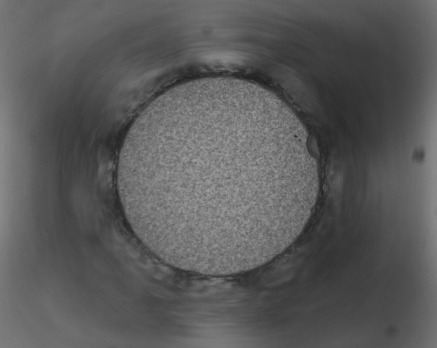 X0000116611061200912312113