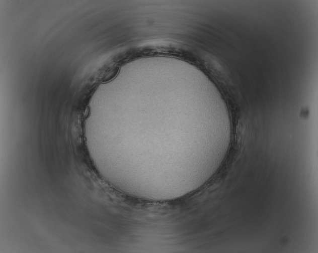 X0000116611062200912312113