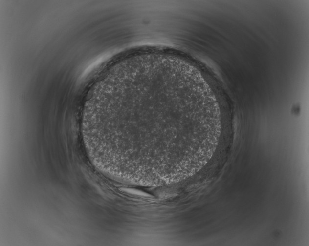 X0000116611064200912312113