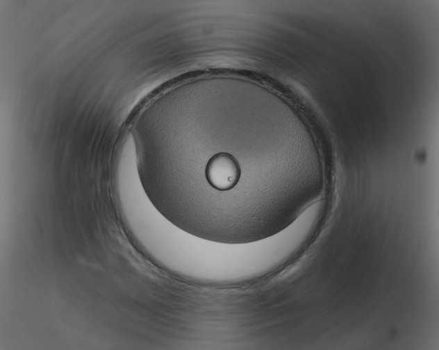 X0000116611065200912312113