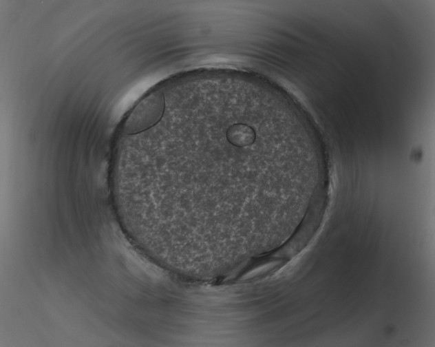 X0000116611066200912312113