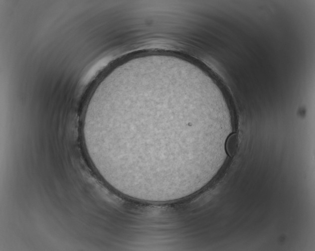 X0000116611067200912312113