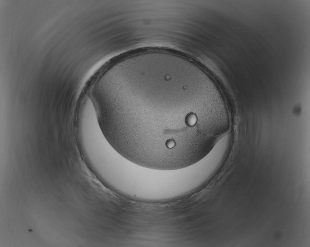 X0000116611068200912312113