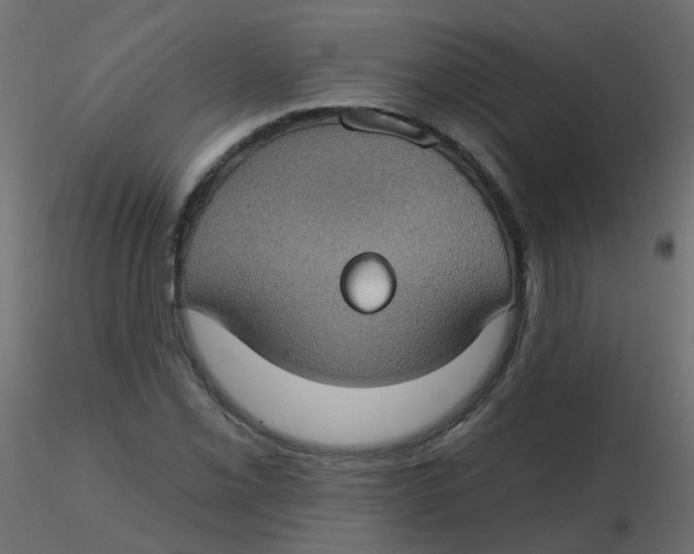 X0000116611069200912312113