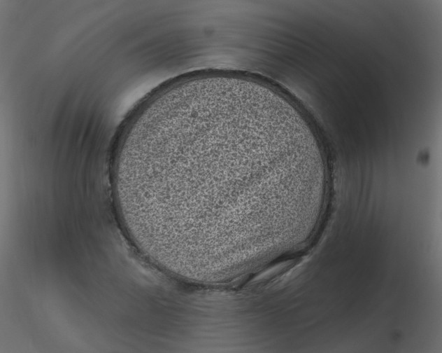 X0000116611070200912312113