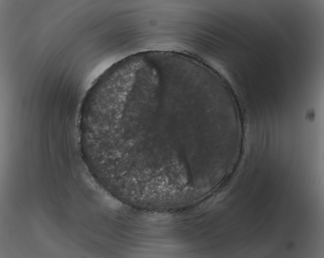 X0000116611071200912312113