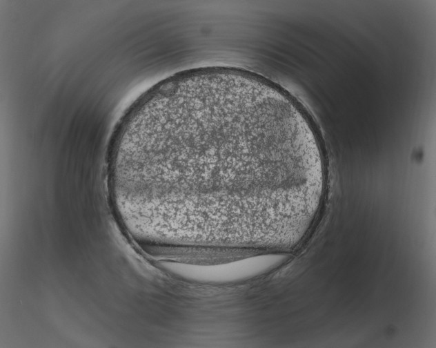 X0000116611072200912312113