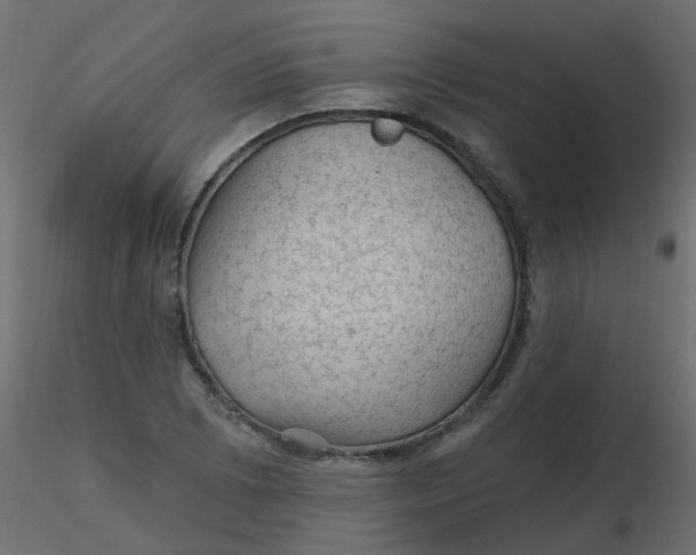 X0000116611073200912312113