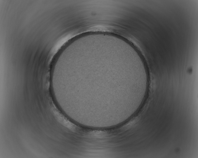 X0000116611075200912312113