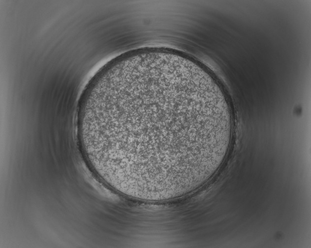 X0000116611076200912312113