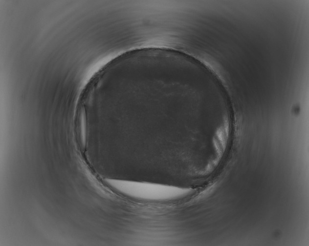 X0000116611077200912312113