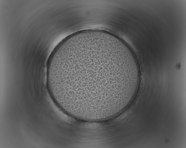 X0000116611079200912312113