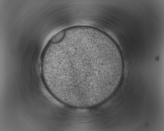 X0000116611080200912312113