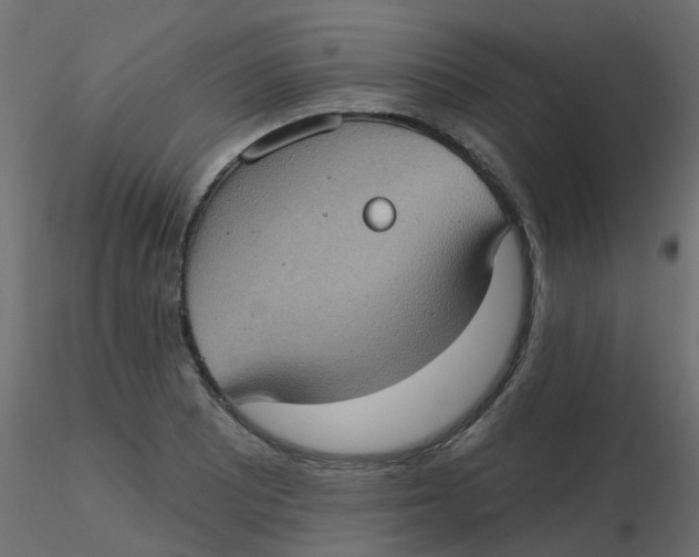 X0000116611081200912312113