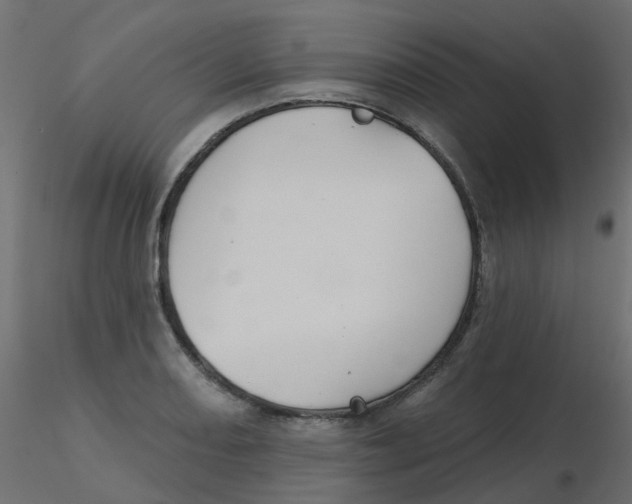 X0000116611082200912312113