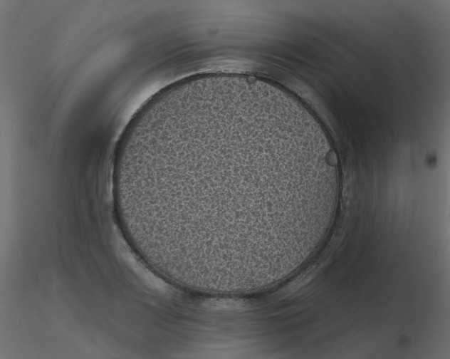 X0000116611083200912312113