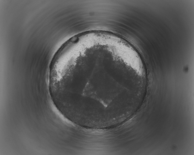 X0000116611084200912312113