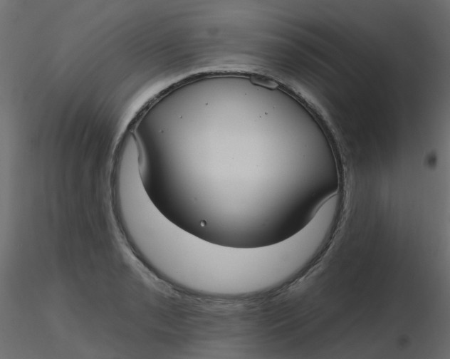 X0000116611085200912312113