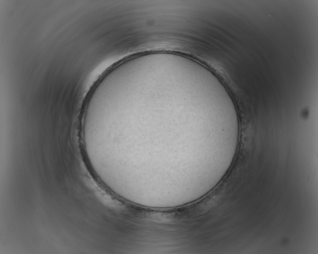 X0000116611086200912312113