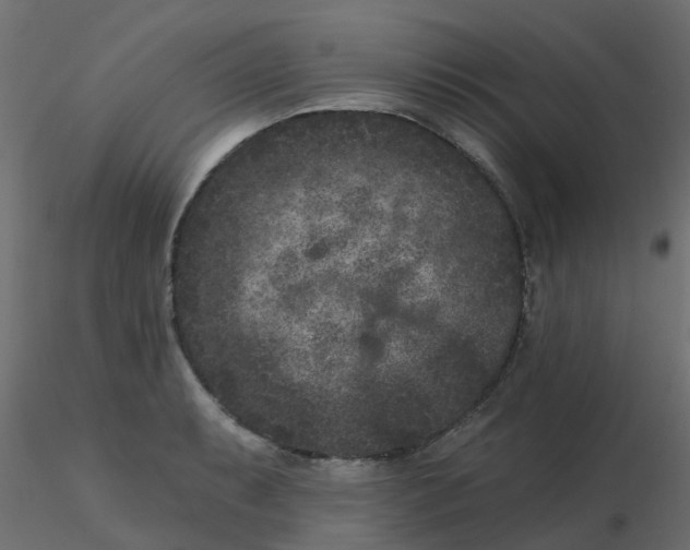 X0000116611087200912312113