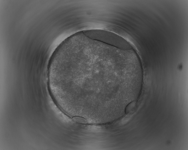 X0000116611088200912312113