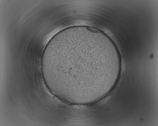 X0000116611089200912312113