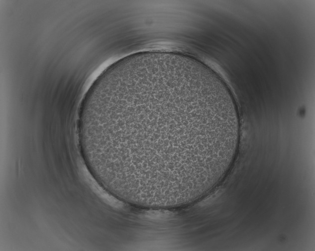 X0000116611091200912312113