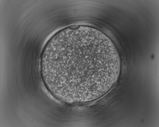 X0000116611092200912312113