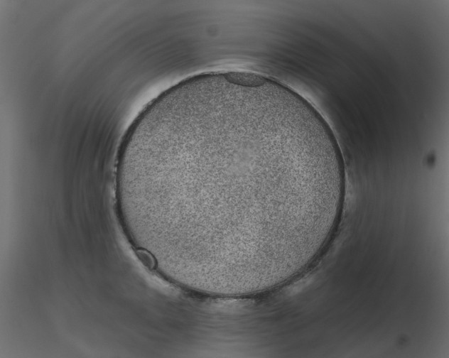 X0000116611093200912312113