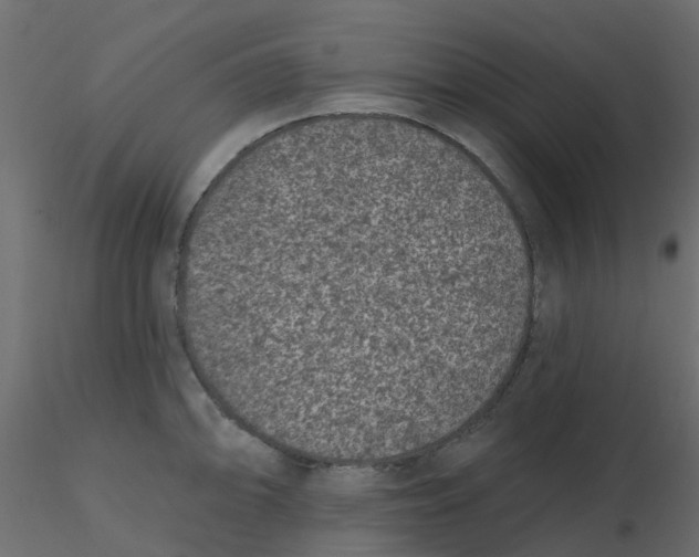 X0000116611094200912312113