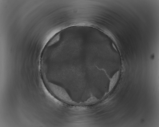 X0000116611095200912312113