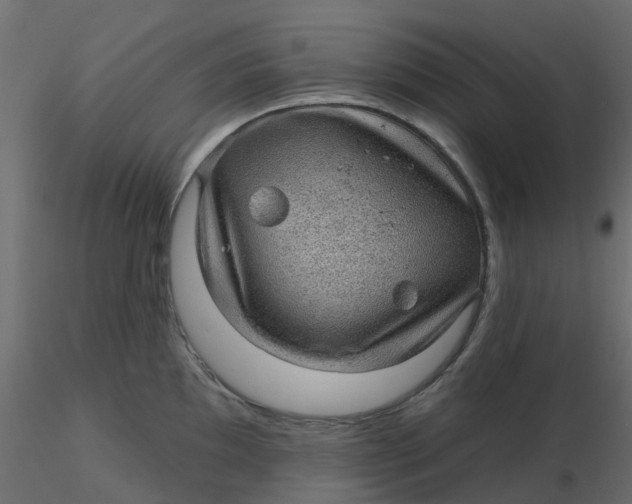 X0000116611097200912312113