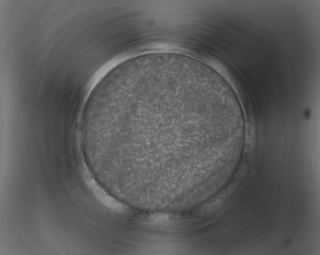 X0000116611098200912312113