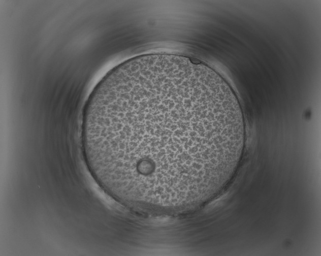 X0000116611099200912312113