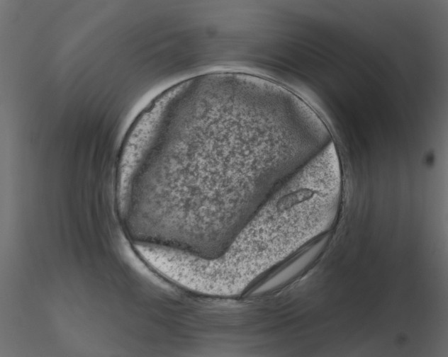 X0000116611100200912312113