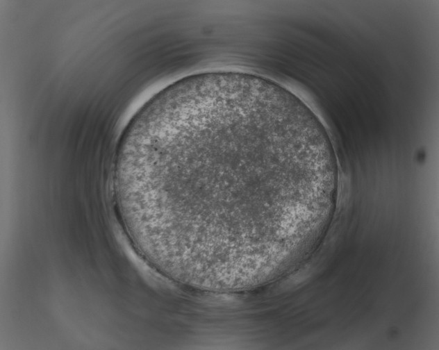 X0000116611101200912312113