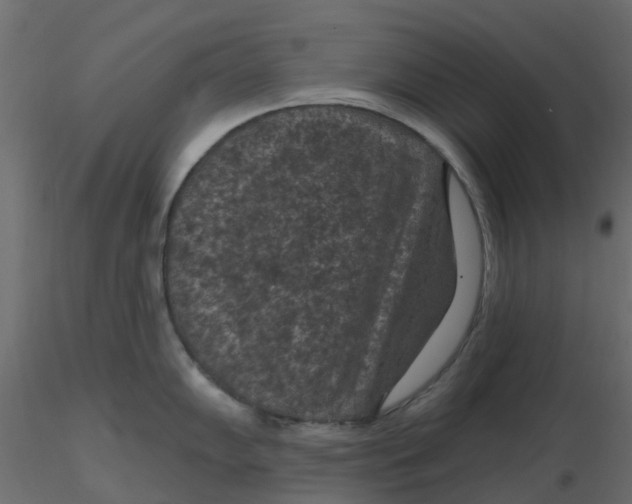 X0000116611102200912312113