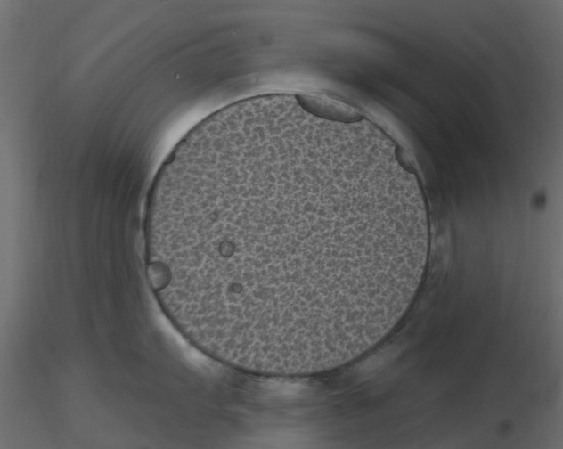 X0000116611103200912312112