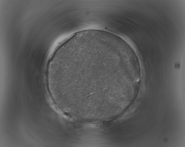 X0000116611104200912312112