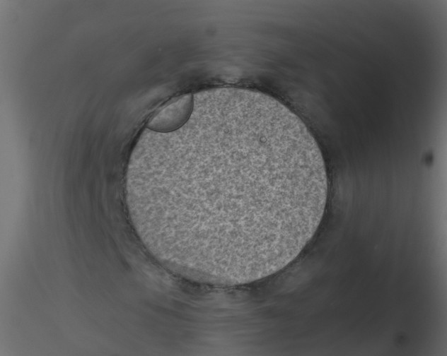 X0000116611105200912312112