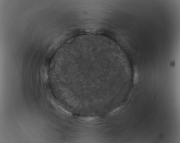 X0000116611106200912312112