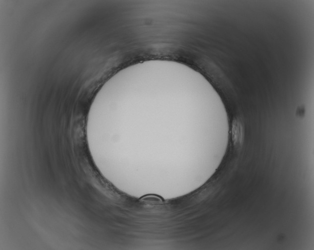 X0000116611107200912312112