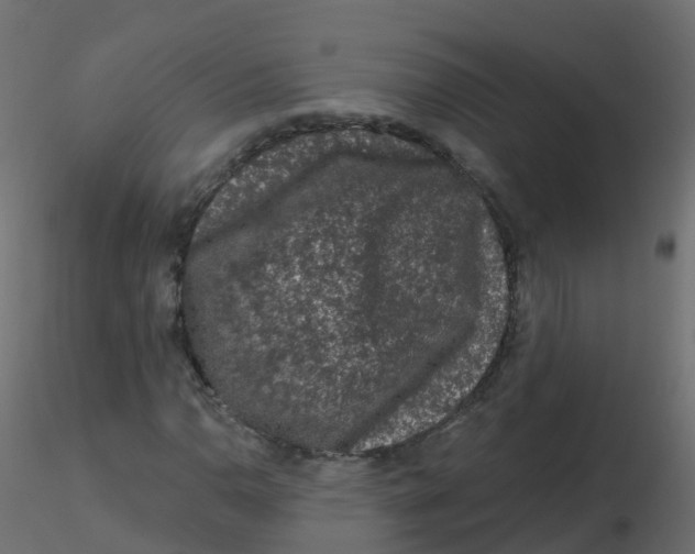 X0000116611110200912312112