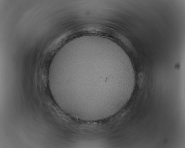 X0000116611111200912312112