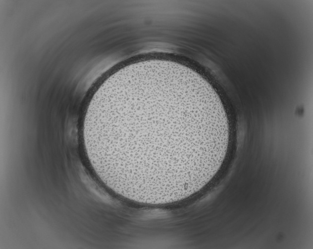 X0000116611113200912312112